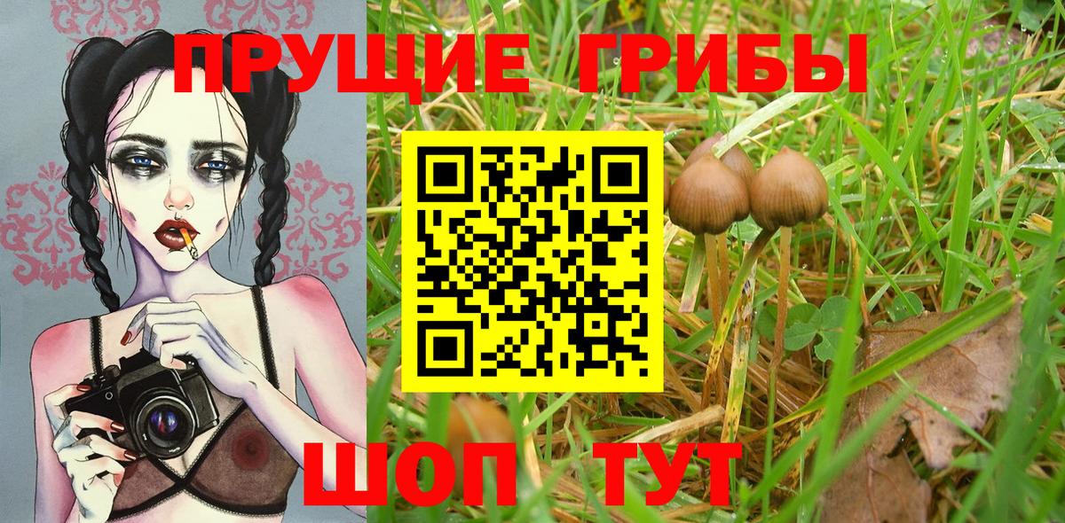 Галлюциногенные грибы ЛСД  Вход с VPN  закладки  Псилоцибиновые грибы Psilocybine cubensis  Йошкар-Ола 